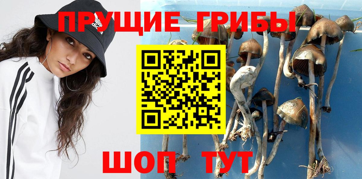 Псилоцибиновые грибы Psilocybine cubensis  Вход с VPN  Полысаево  Галлюциногенные грибы Magic Shrooms 